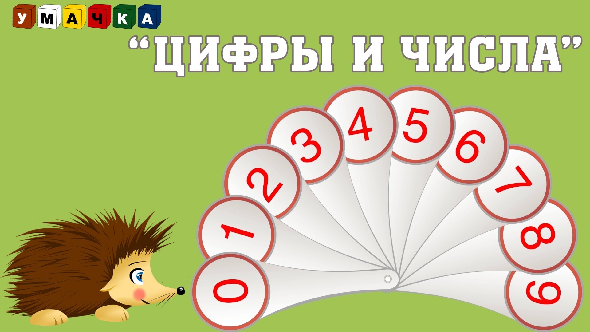 TSifry-i-CHisla-Razvivayushhij-multfilm-YOzhik-ZHeka-obyasnyaet-razlichie