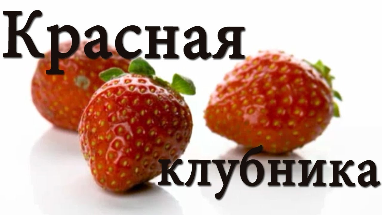 Uchim-tsveta-Krasnyj