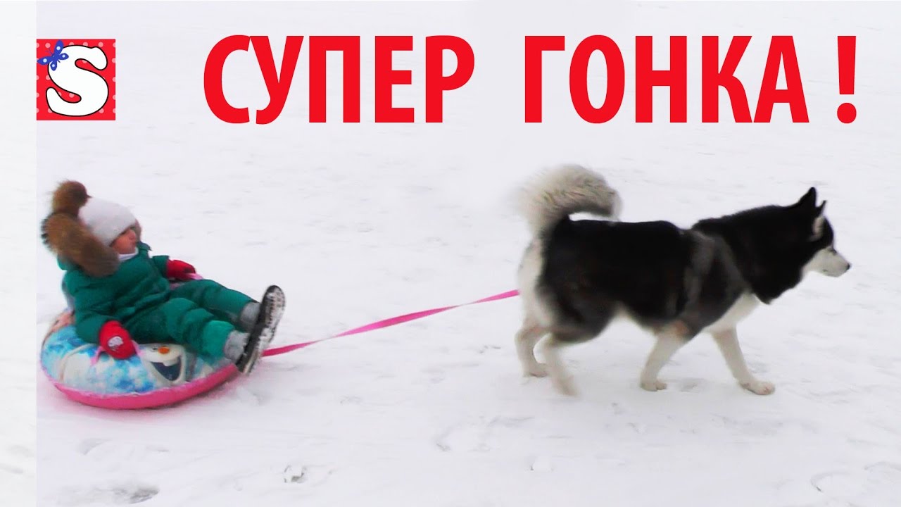 Vlog-Super-gonki-SBILI-MAMU-gonyaem-na-Frenke-OGROMNYE-GORKI-razvlecheniya-dlya-detej-Deti-i-roditeli