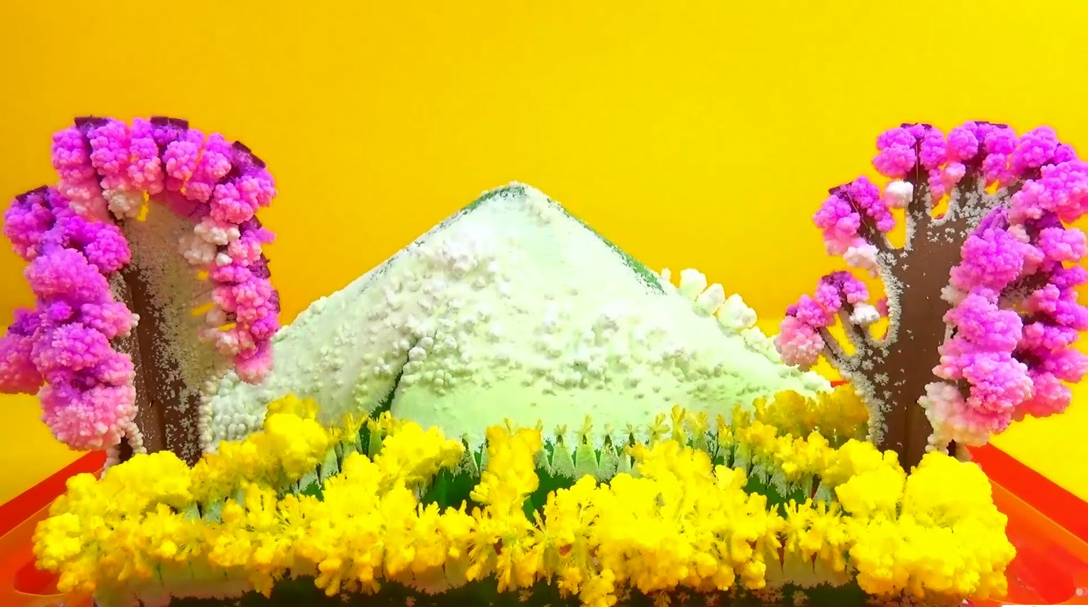 Vyrashhivaem-volshebnyj-sad-STOP-MOTION-Sakura-v-kristallah