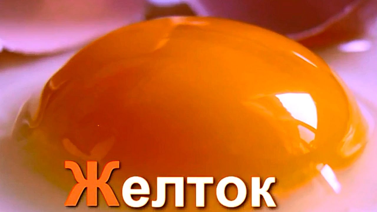 Azbuka-dlya-detej.-Uchim-bukvy.-Bukva-ZH