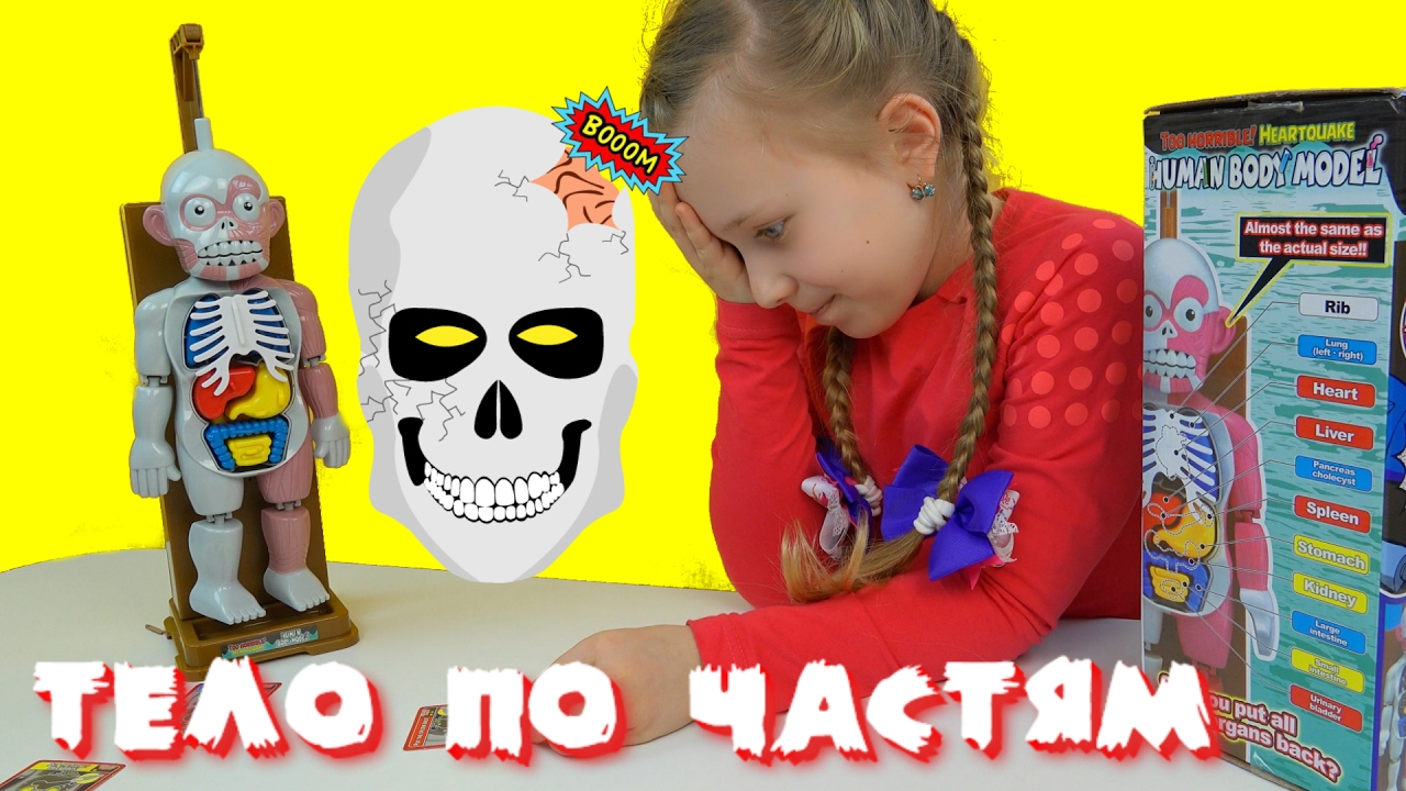 CHellendzh-Igra-Soberi-telo-cheloveka-ne-razozliv-ego-Human-body-model-Challenge