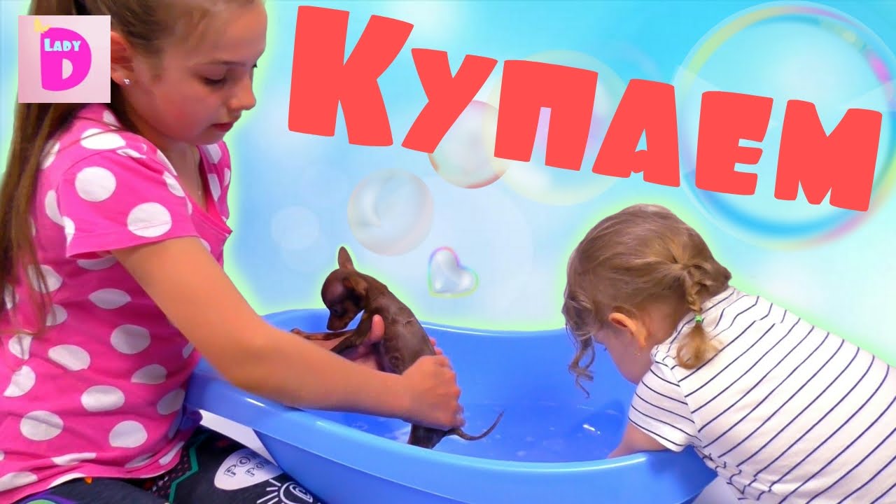 Kupaem-nashego-pitomtsa-We-bathe-our-pet