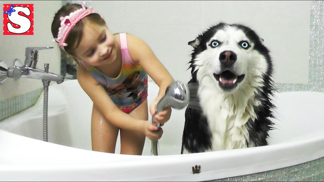 Kupaem-v-Vannoj-Sobaka-haski-Frenk-Ogromnaya-posylka-Giant-Candy-Chupa-Chups-Video-dlya-detej-KIDS