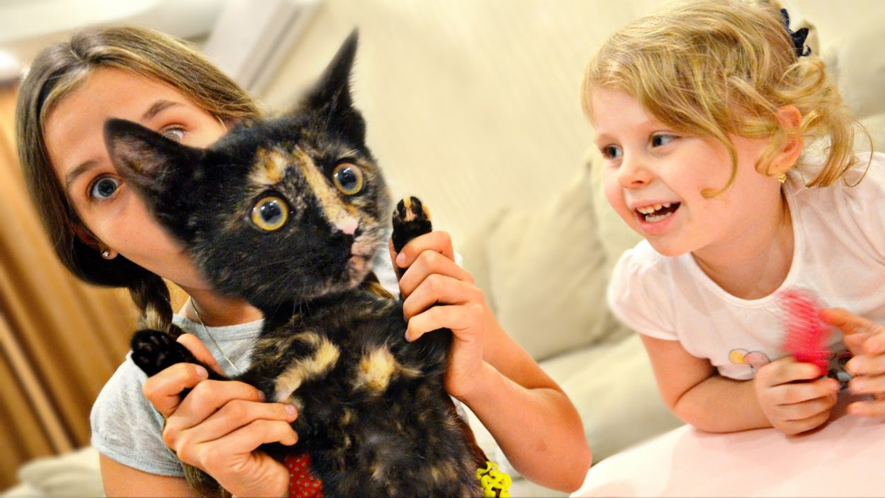 NASH-KOTIK-PODKIDYSH-VYROS-Dlya-detej-KIDS-Children-Multiki-pro-Kotyat-vse-Serii-podryad