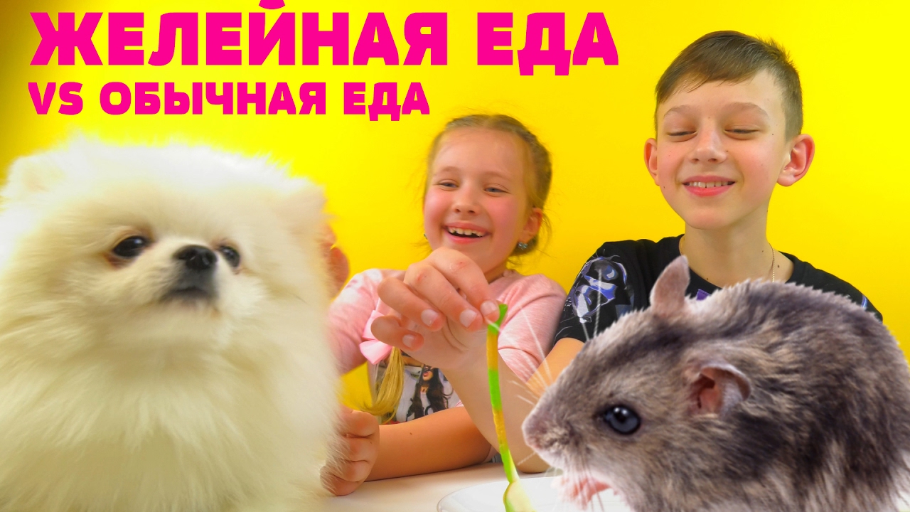 OBYCHNAYA-EDA-ILI-MARMELAD-CHELLENDZH-CHut-ne-skushali-myshonka-Real-Food-vs-Gummy-Food