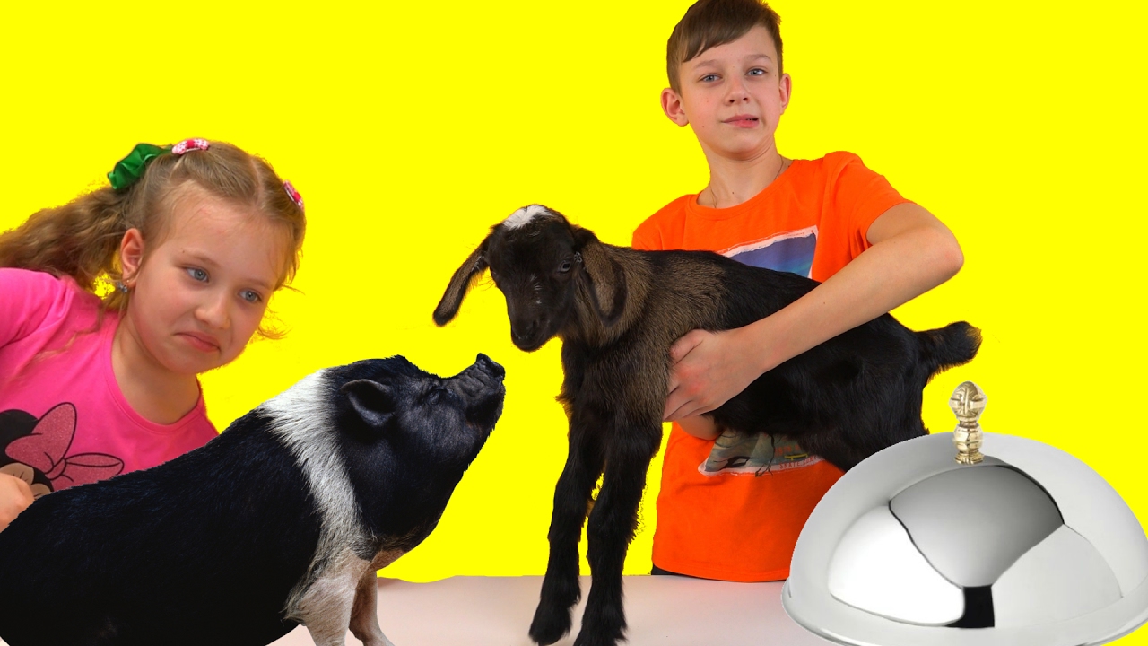 Obychnaya-Eda-protiv-Marmelada-EKSTREMALNYJ-CHELLENDZH-SELI-GORNOGO-KOZLENKA-I-DIKUYU-SVINKU-PEPU