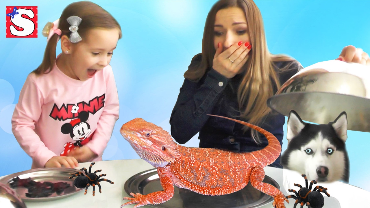 Obychnaya-Eda-protiv-Marmelada-MAMA-PLACHET-Giant-Spider-Food-vs-Gummy-Spider-Food-Candy-Challenge
