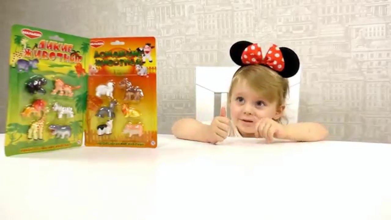 Otkryvaem-i-smotrim-domashnih-i-dikih-zhivotnyh-Homewild-animals