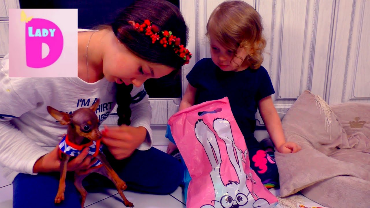 Otkryvaem-obnovki-dlya-nashego-shhenka