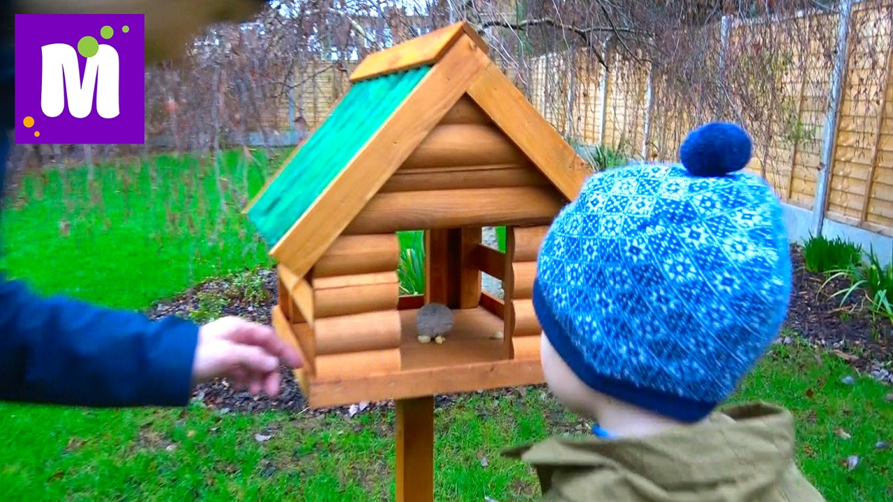 VLOG-Domik-dlya-belochek-i-ptichek-Kucha-posylok-i-Korolevskie-kresla-v-igrovuyu-komnatu-Maksa-i-Kati