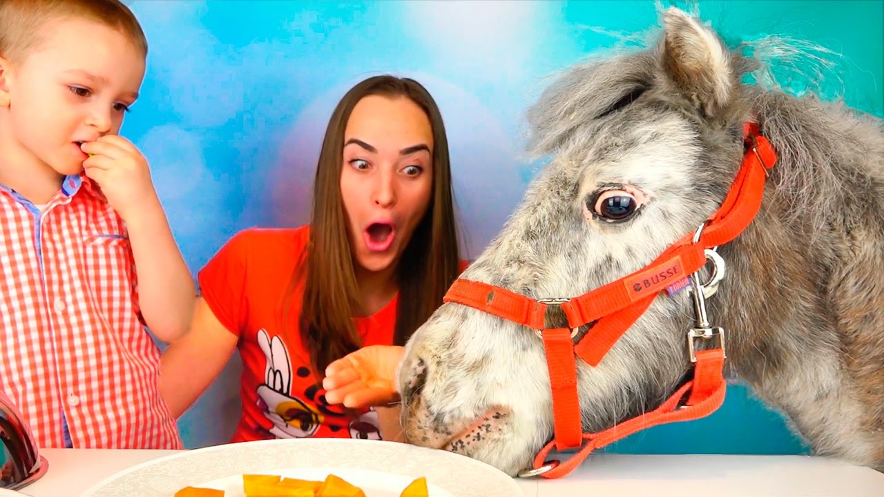 Eda-protiv-Marmelada-Top-CHellendzh-2017-Mama-PLACHET-Candy-Challenge-Real-Food-vs-Gummy-Food