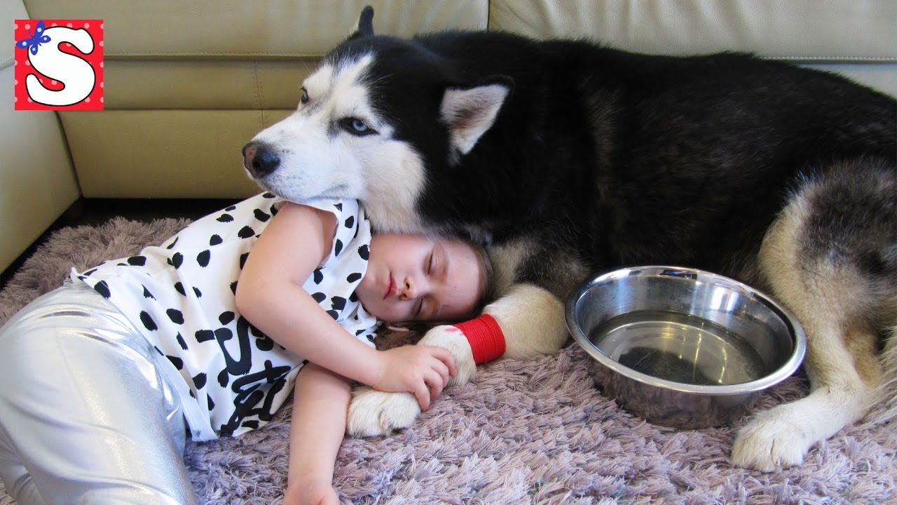 Frenk-Zabolel-Sdaem-Krov-Doktor-delaet-Ukol-Kukly-Igrushki-Video-dlya-detej-Bad-Baby-Toys-For-Kids