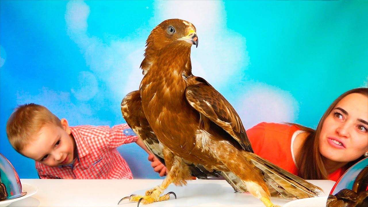 Obychnaya-Eda-protiv-Marmelada-CHellendzh-Mama-PLACHET-Real-Food-vs-Gummy-Food-Candy-Challenge