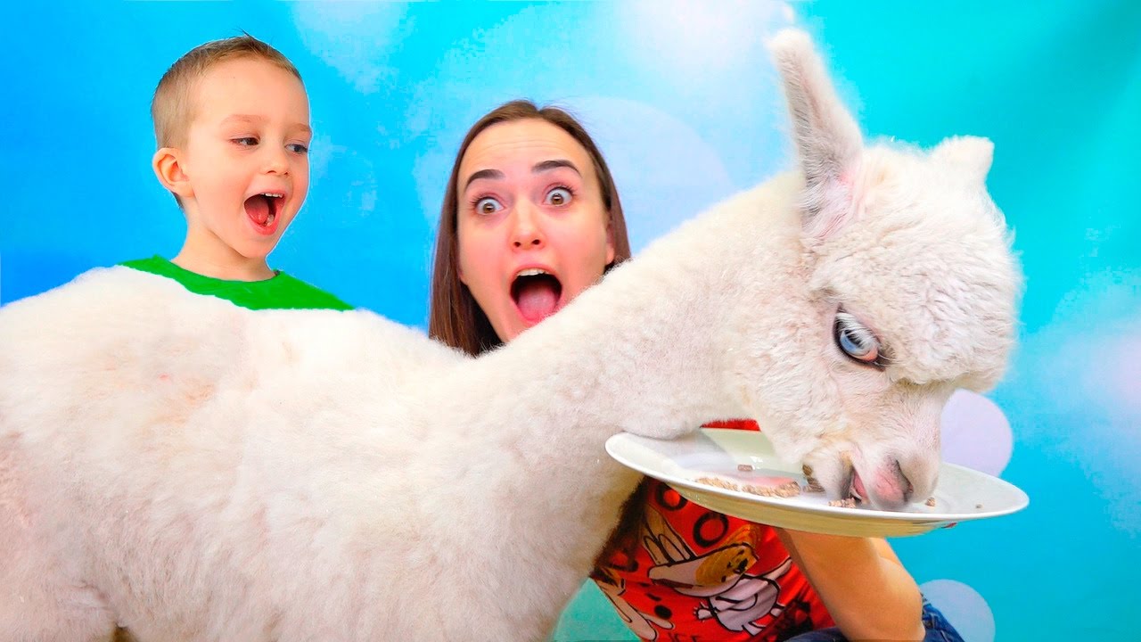 Obychnaya-Eda-protiv-Marmelada-CHellendzh-Mama-PLACHET-Real-Food-vs-Gummy-Food-Funny-Challenge