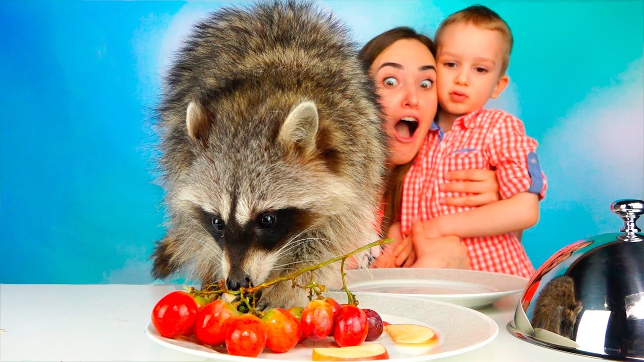 Obychnaya-Eda-protiv-Marmelada-CHellendzh-Real-Food-vs-Gummy-Food-Bad-Baby-Candy-Challenge