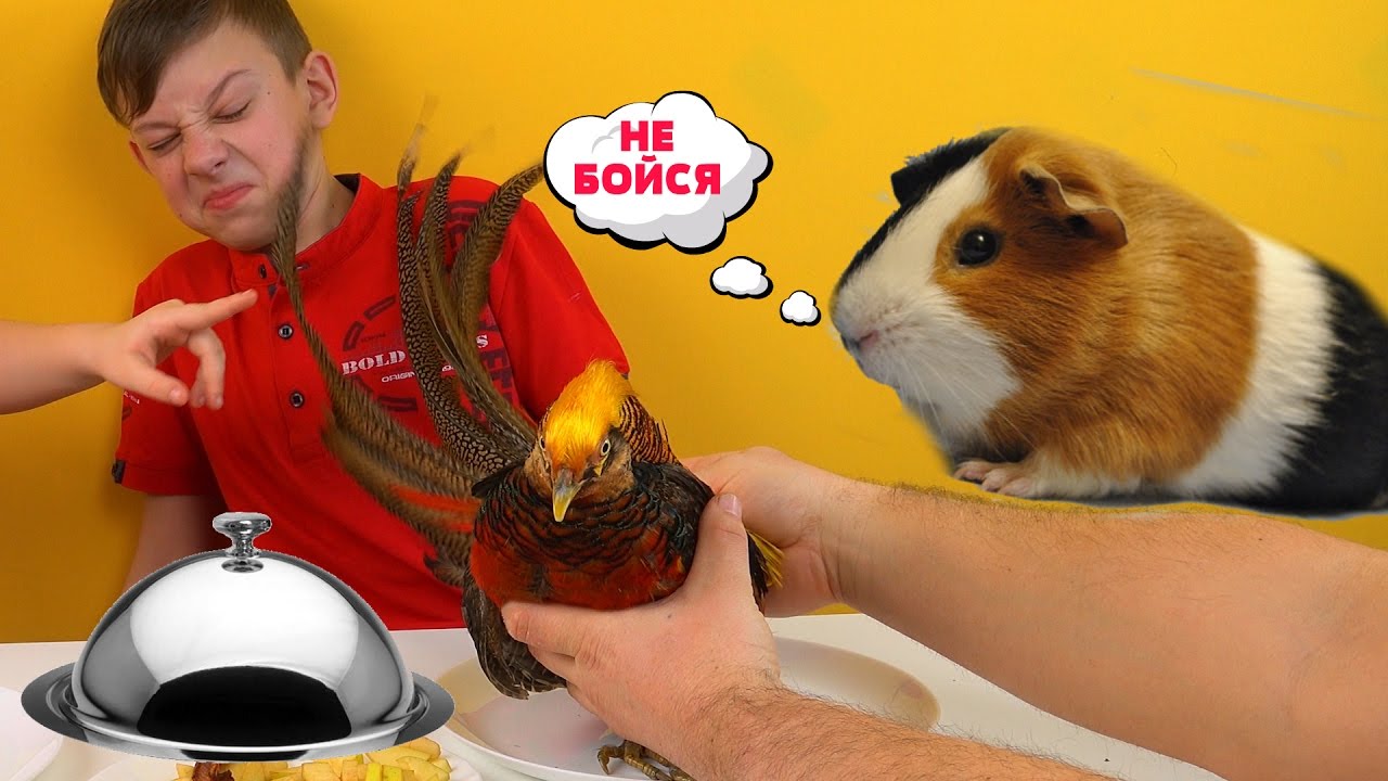 Obychnaya-Eda-protiv-Marmelada-EKSTREMALNYJ-CHELLENDZH-VSE-SERII-PODRYAD