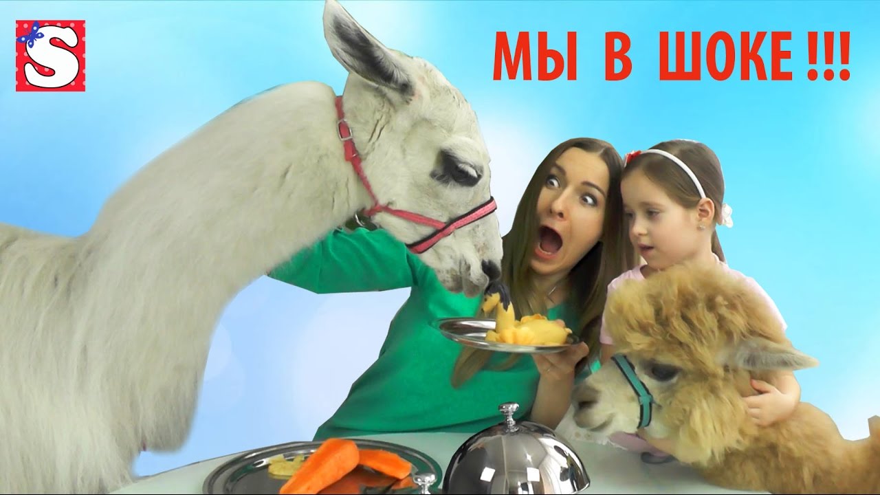 Obychnaya-Eda-protiv-Marmelada-MAMA-PLACHET-Real-Food-vs-Gummy-Food-Candy-Challenge-Bad-Baby