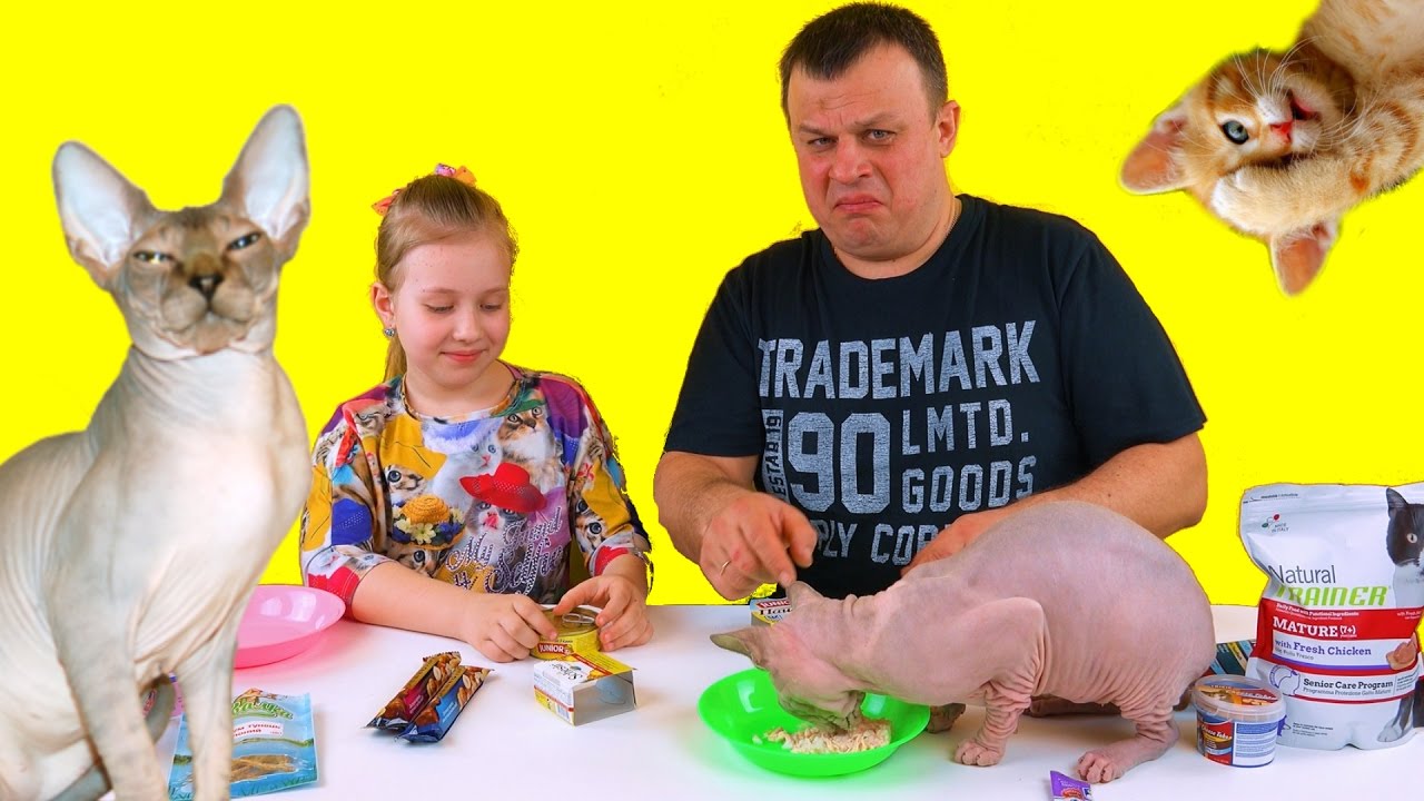 Obychnaya-eda-protiv-koshachej-Probuem-koshachij-korm-Papa-chut-ne-otravilsya