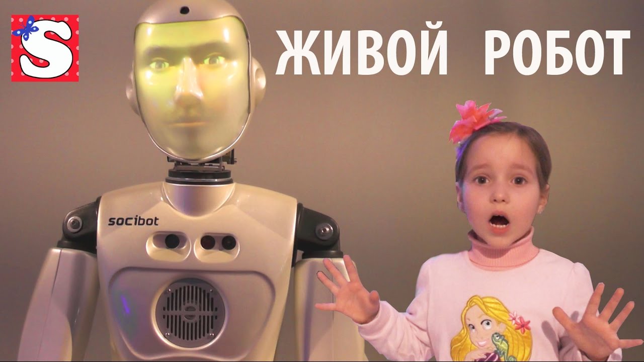 Sofiya-Ispugalas-zhivyh-Robotov-Plachet-Pokupaem-Mashinu-igrushki-Playground-for-kids-Toys-for-kids