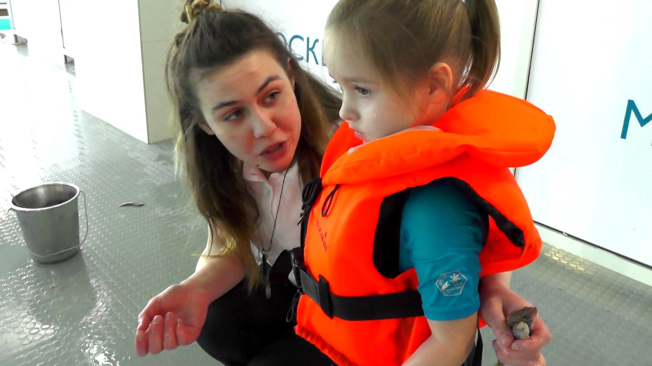 Sofiya-plavaet-s-delfinami-Kak-my-gotovilis-k-CHellendzhu-Real-Food-vs-Gummy-Food-Candy-Challenge