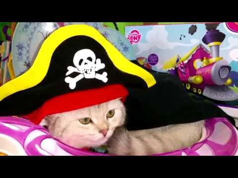 Piraty-Karibskogo-morya-5-Video-dlya-detej-Koshechka-Simka-PIRAT-SHERIF-DOKTOR-Nastyushik