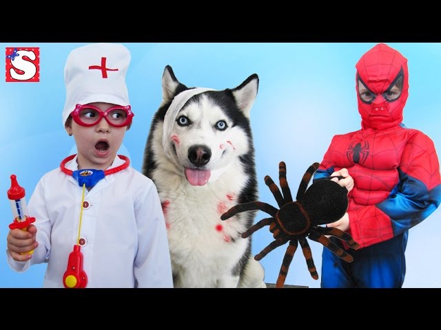 SPIDERMAN-Spasenie-sobaki-Delaem-Ukol-CHELOVEK-PAUK-Video-dlya-detej-GIANT-SPIDER-ATTACKS-Toys-Kids