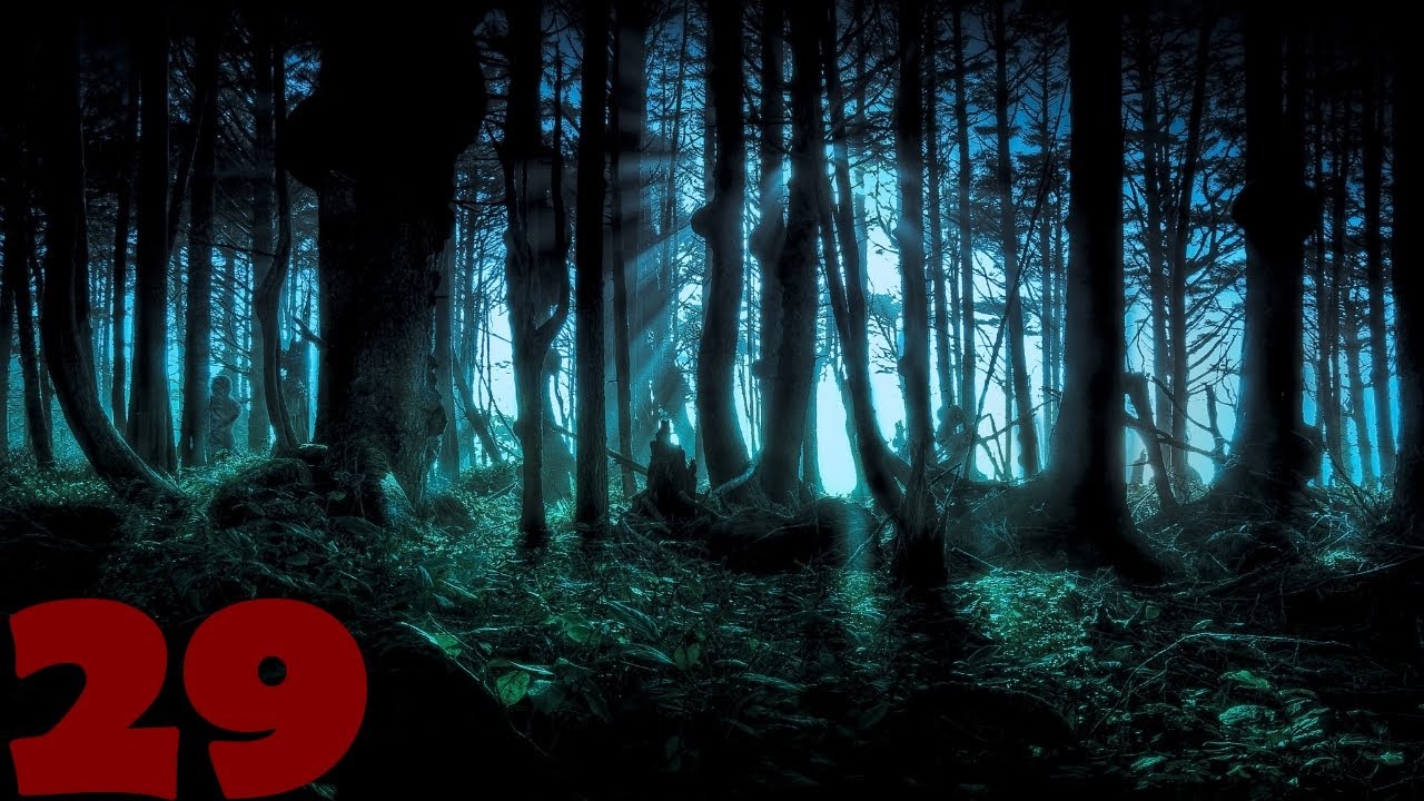 Sumerechnyj-indastrial-i-Teranit-29