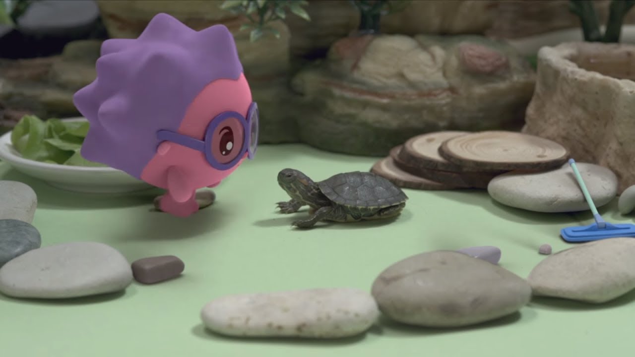 Malyshariki-Novye-serii-CHerepashka-Seriya-96-Razvivayushhie-multiki-dlya-samyh-malenkih