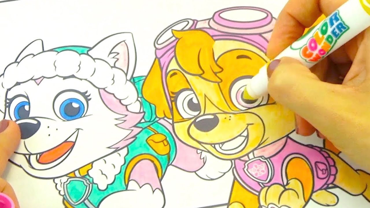 Volshebnaya-raskraska-SHHenyachii-Patrul-Raskrashivaem-Skai-i-Everest-iz-SHHenyachego-Patrulya