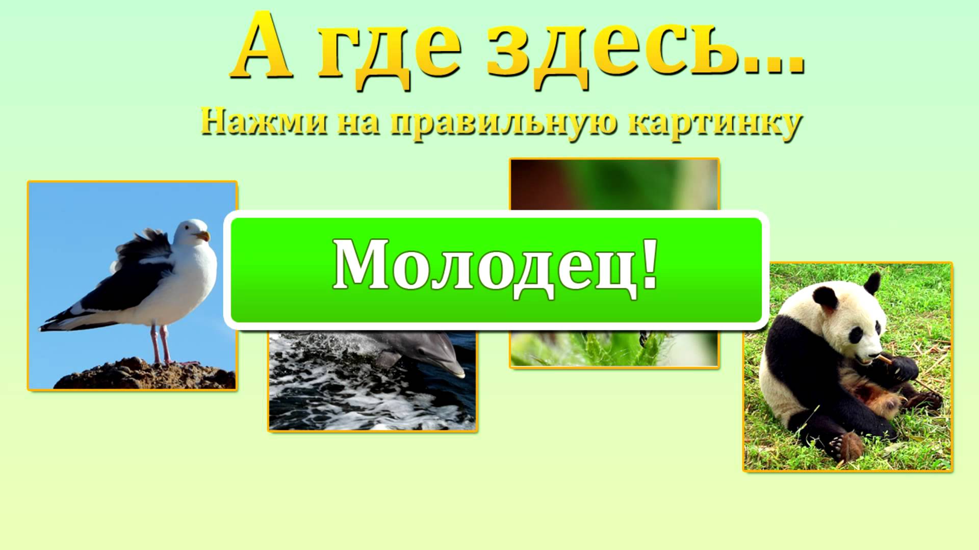 Igry-dlya-detej-Bukva-D-Razvivalki-dlya-malyshej