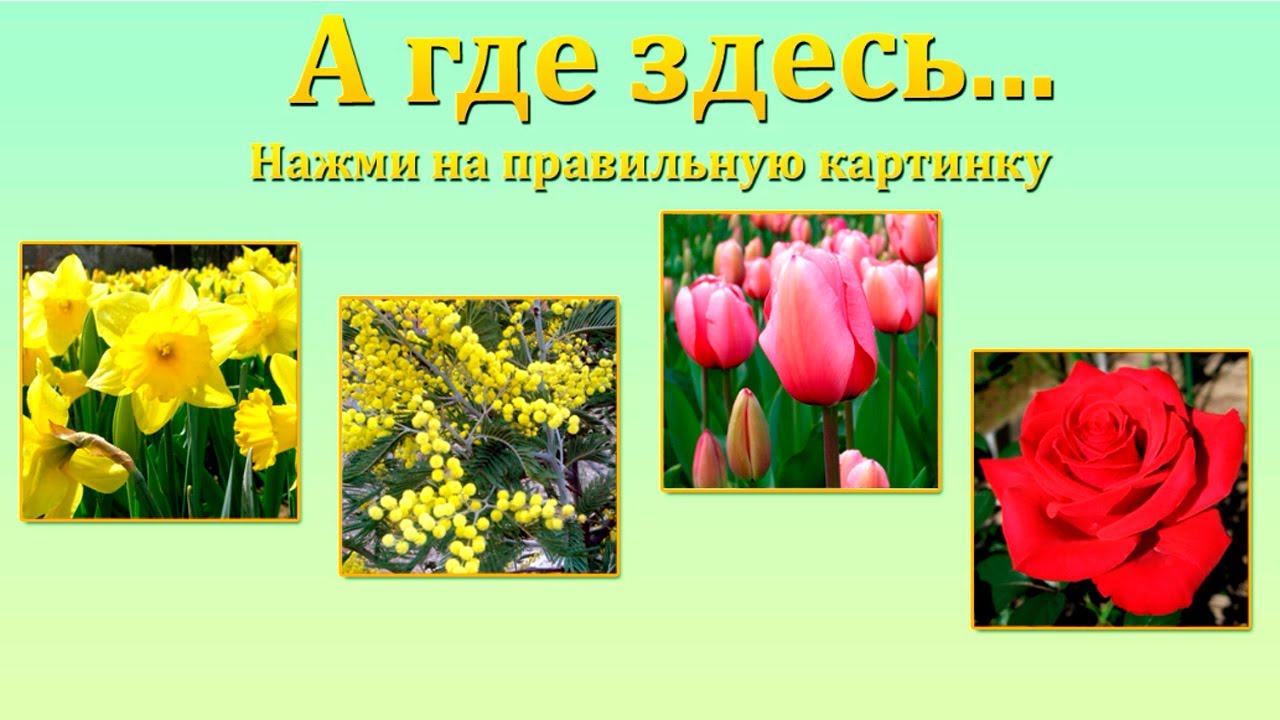 Razvivayushhie-igry-dlya-detej-Bukva-M-Obuchayushhee-video