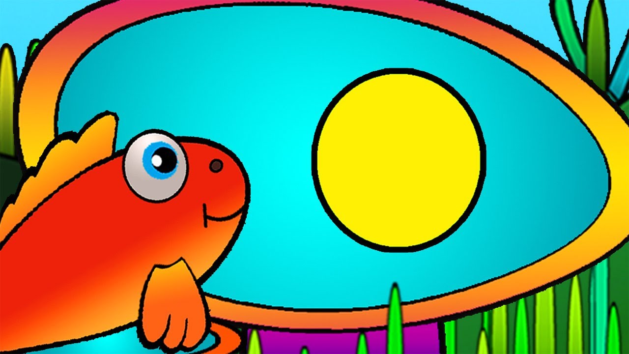 Razvivayushhie-multiki-geometricheskie-figury-Krug