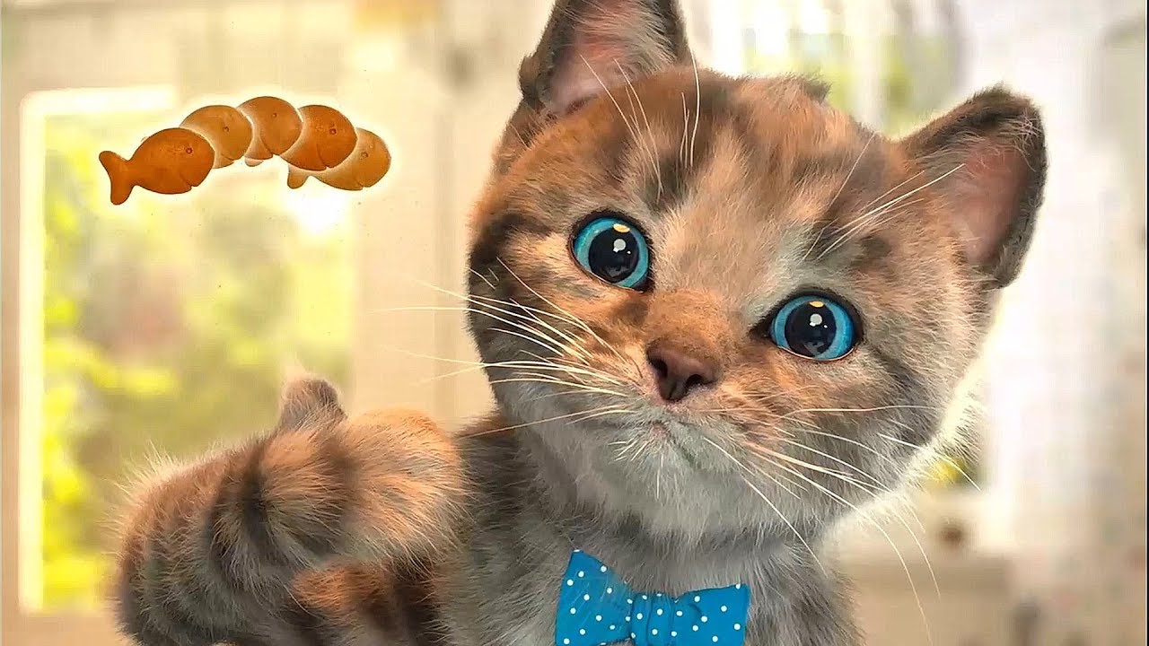 Smeshnoj-Kotyonok-i-ego-zabavnye-priklyucheniya.-RAZVIVAYUSHHIJ-MULTFILM-v-vide-interaktivnoj-igry