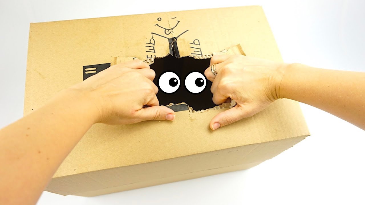 Syurprizy-i-igrushki-Svitboks-SHHenyachii-Patrul-Masha-i-Medved-Trolli-Mai-litl-poni-Pushistiki