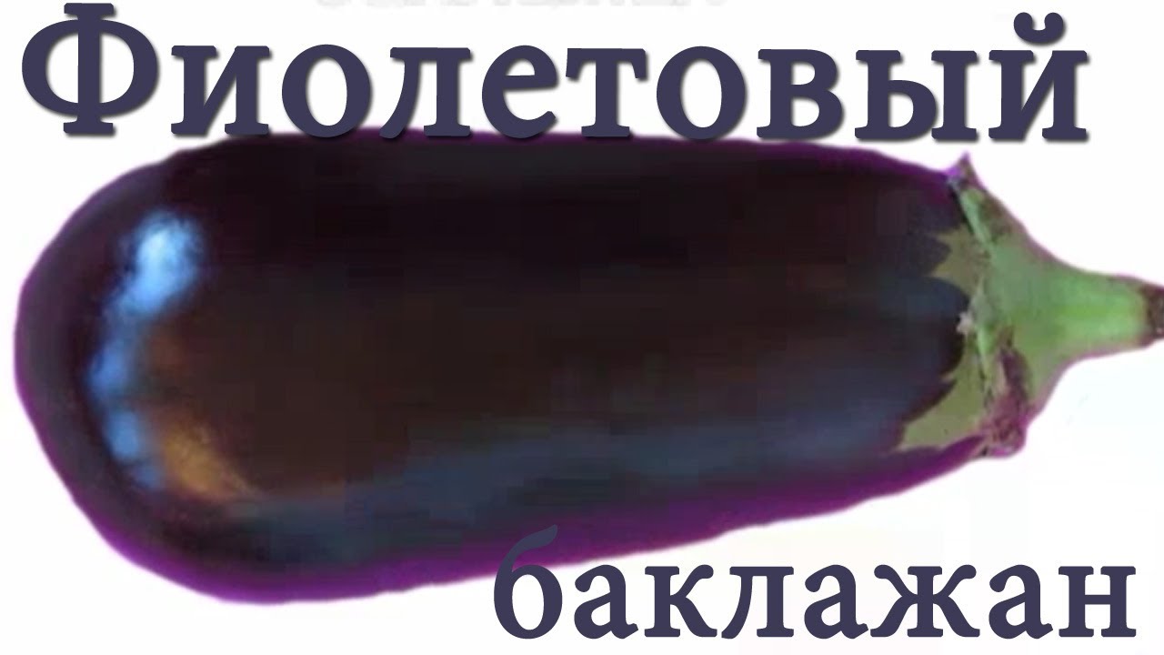 Uchim-tsveta-Fioletovyj