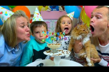Den-Rozhdeniya-KOSHECHKI-Murki-Novye-PITOMTSY-Kati-i-Maksa-SHariki-i-podarki-na-cat-birthday