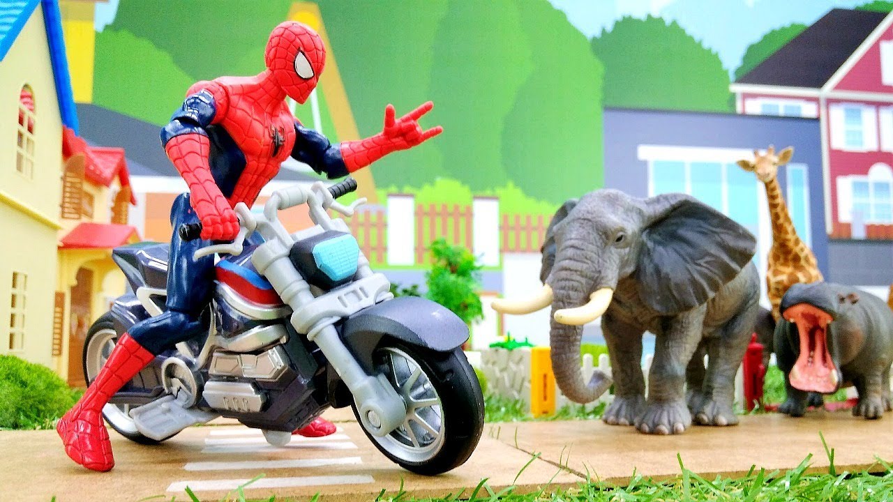 Video-pro-CHeloveka-Pauka.-Dzhoker-vypustil-zverej-iz-Zooparka