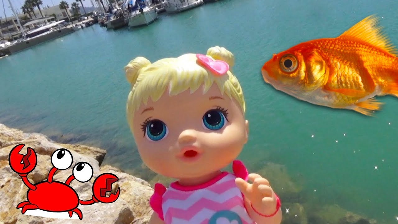 Kukly-puteshestvennitsy-kormim-rybok-sledim-za-krabami-i-muravyami