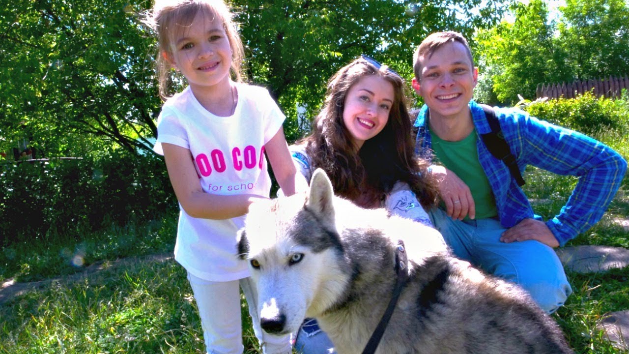 Park-Skazka.-Fedor-prygaet-s-haski.-Igroteka-i-HaskiLend