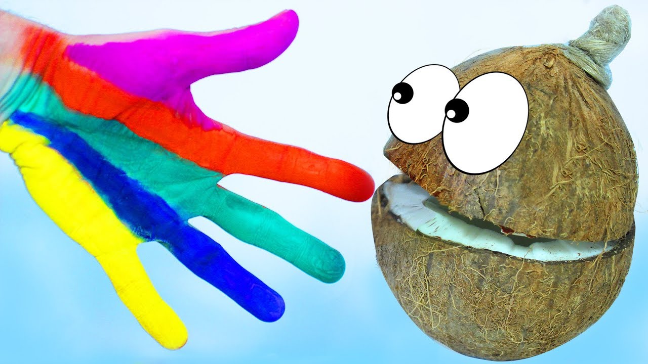 Pesenka-pro-Palchiki-Krasim-Ruchku-i-Uchim-tsveta-s-Misterom-Kokosom