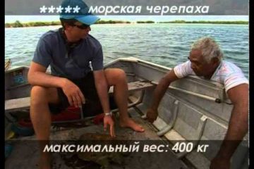 Dialogi-o-rybalke-Morskaya-rybalka