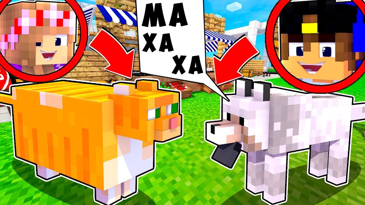 REBENOK-I-DEVUSHKA-DOM-KOTA-I-SOBAKI-NUBA-I-PRO-MAJNKRAFT-V-REALNOJ-ZHIZNI-VIDEO-TROLLING-MINECRAFT