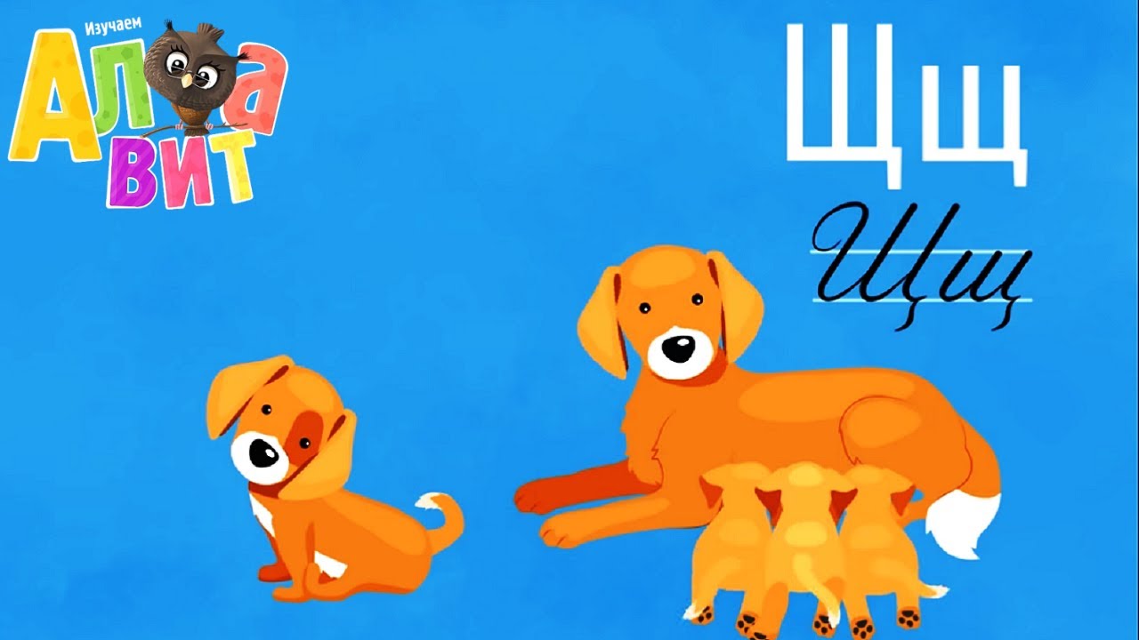 ALFAVIT-Bukvy-SH-i-SHH-Obuchayushhie-multiki-Azbuka-dlya-detej
