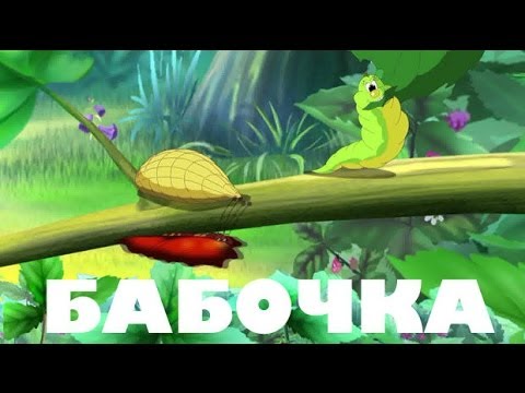 Uroki-Tetushki-Sovy-Uroki-zhivoj-prirody-Babochka