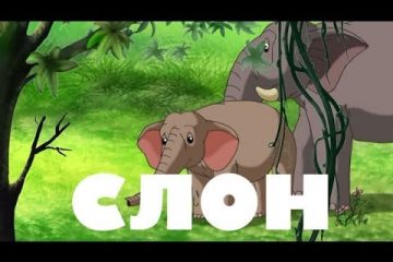 Uroki-Tetushki-Sovy-Uroki-zhivoj-prirody-Slon