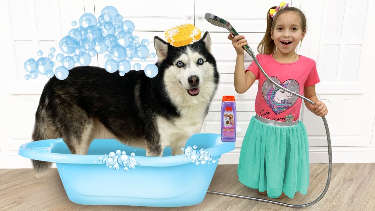 Sofiya-kupaet-sobachku-Zabavnaya-istoriya-pro-domashnih-zhivotnyh